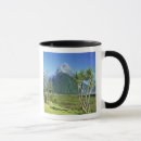 Search for south island new zealand mugs Mountain