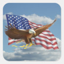 Search for bald stickers Stars and stripes