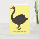 Search for black swan cards Australia