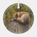 Search for bark christmas tree decorations Animal