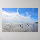 Search for gull posters Birds