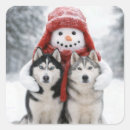 Search for husky dog stickers Cute