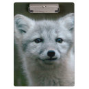 Search for arctic fox Fluffy
