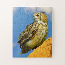 Search for owl puzzles Animal
