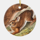 Search for hare christmas tree decorations Wildlife