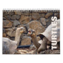 Search for turtle calendars Reptile