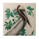 Search for pelican tiles Nature