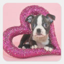 Search for love image stickers Photography