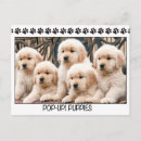 Search for cute golden retriever postcards Puppies