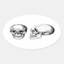 Search for 2 skulls stickers Bones