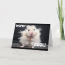 Search for gerbil photography Birthday