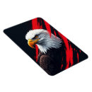 Search for feathered birds magnets Bird watching