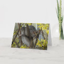 Search for ratties cards Rodents