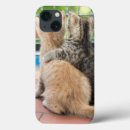 Search for duo electronics Cute