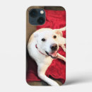 Search for cute smiling iphone cases Dog lover