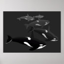 Search for black and white whale art Orca