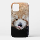 Search for cute kawaii iphone cases Nature
