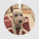 Search for west christmas tree decorations Puppy