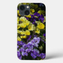 Search for yellow pansy iphone cases Flower