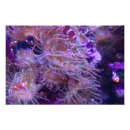 Search for extra large posters Photography