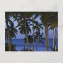 Search for dominican republic postcards North america