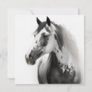 Search for western note cards Equestrian