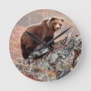 Search for bear clocks Portrait