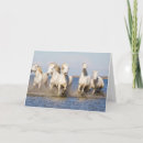 Search for mer cards Ranch