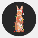 Search for rabbit in hat stickers Bunny