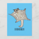 Search for gliders postcards Petaurus breviceps