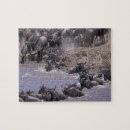 Search for kenya puzzles Np