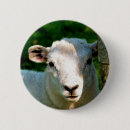 Search for lambs badges Farms