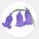 Search for bluebell stickers Flower