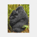 Search for gorilla blankets Cute