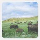 Search for theodore roosevelt stickers Bison