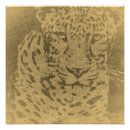 Search for leopard portrait posters Leopards