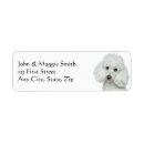Search for white poodle dog return address labels Animal