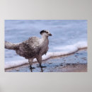 Search for paleoart posters Dinosaur