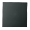 Search for teal color tiles Minimalist