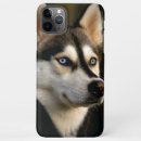 Search for huskies iphone cases Dogs