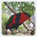 Search for lorikeet stickers Wildlife