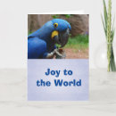 Search for cockatoo christmas cards Macaw