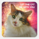 Search for romantic cat stickers Funny