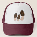 Search for mushroom hats Nature