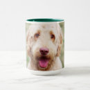 Search for goldendoodle mugs Adorable