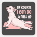 Search for cute pet square stickers Paws