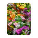 Search for flanders magnets Europe