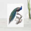 Search for natural history cards Birds