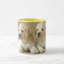 Search for golden retriever portrait mugs Cute