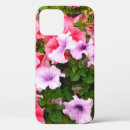 Search for petunia iphone cases Background